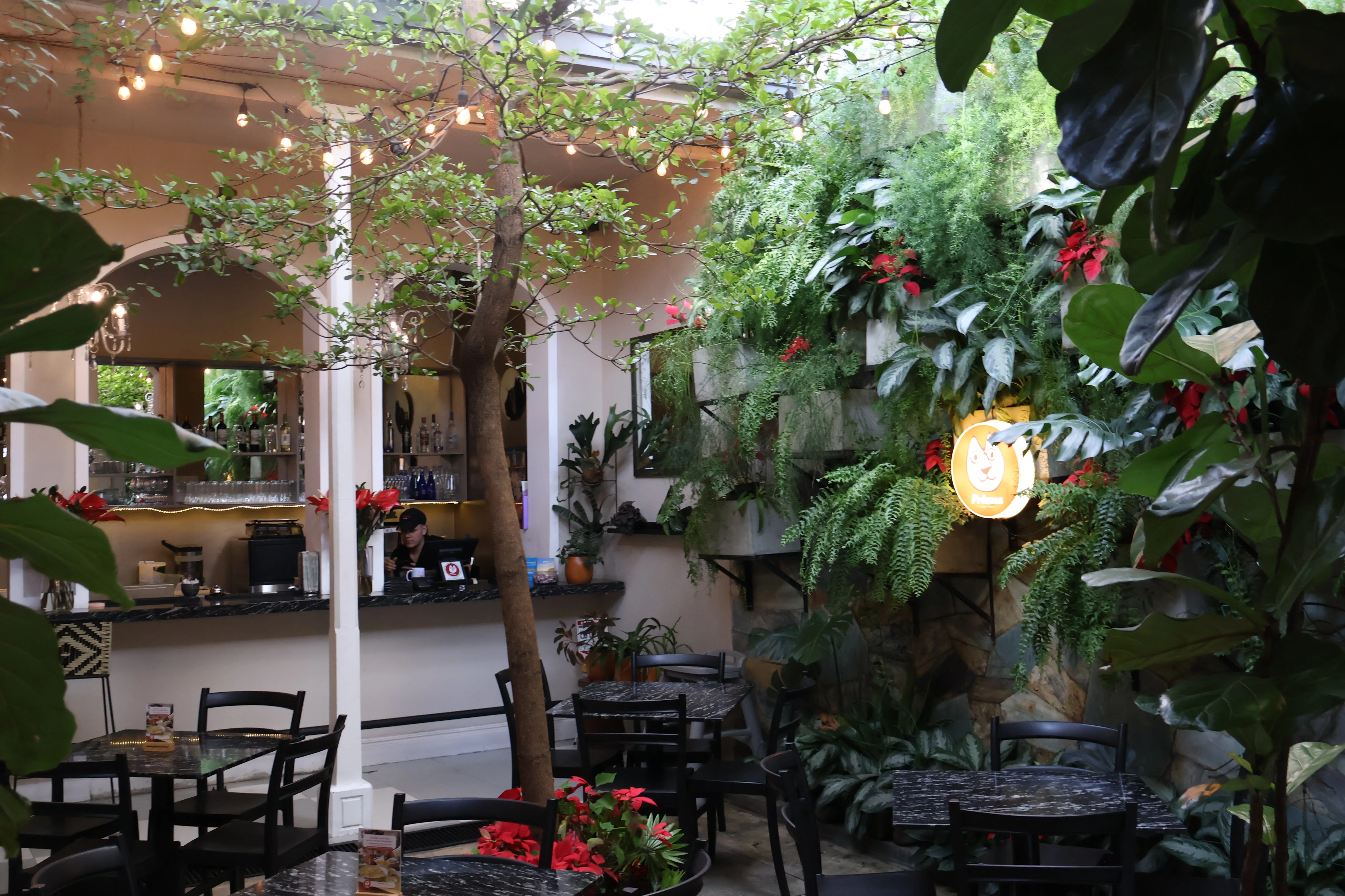 Patio interior de Primos, en una casa del barrio San Antonio
